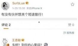 新闻爆料的网红有哪些,近期新闻爆料中的网红风云录